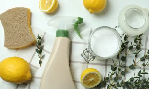 DIY Cleaning Products with Essential Oils”-  Recipes for non-toxic, aromatic cleaners for your home. 