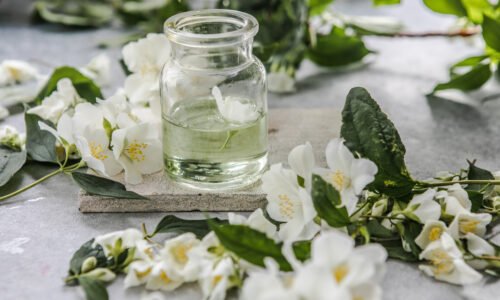 Benefits of Jasmine Oil for Health and Wellness