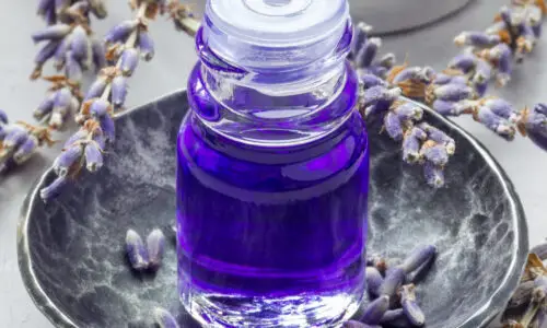 8 Benefits of Lavender Essential Oil for Skin