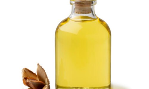 Exploring the Benefits of Shea Moisture Body Oil for Radiant Skin