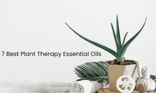 7 Best Plant Therapy Essential Oils