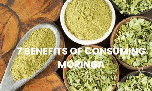 7 Benefits of Consuming Moringa: Add It to Your Diet for Ultimate Health & Wellness