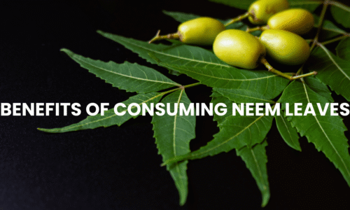 Discover the 5 Benefits of Consuming Neem for Better Health