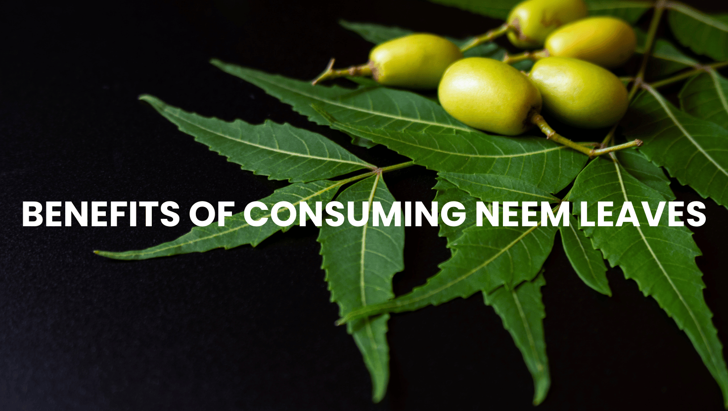 Discover the 5 Benefits of Consuming Neem for Better Health