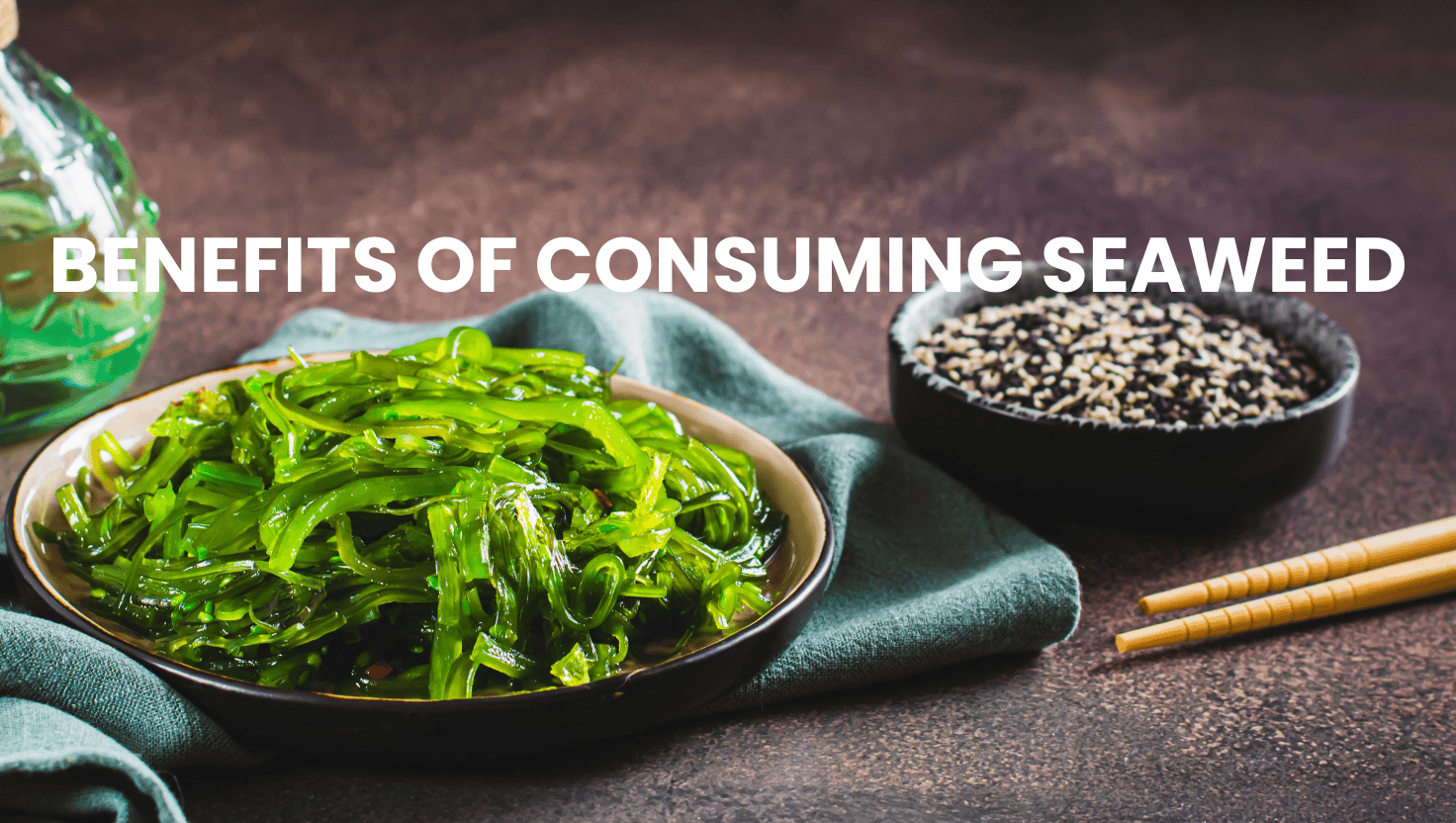 5 Benefits of Consuming Sea Weed for Better Health and Nutrition