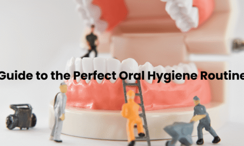 Your Complete Guide to the Perfect Oral Hygiene Routine