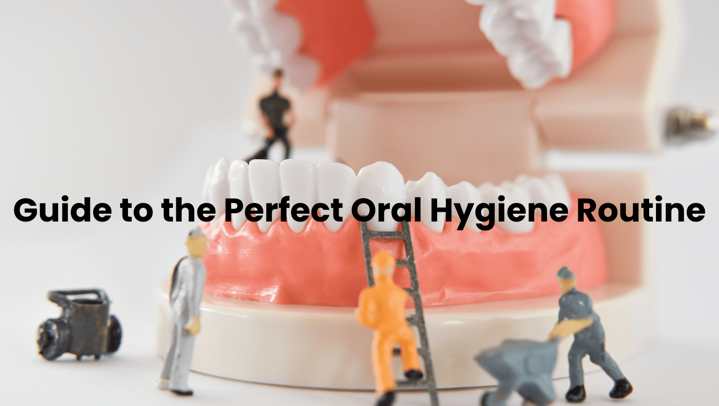 Your Complete Guide to the Perfect Oral Hygiene Routine